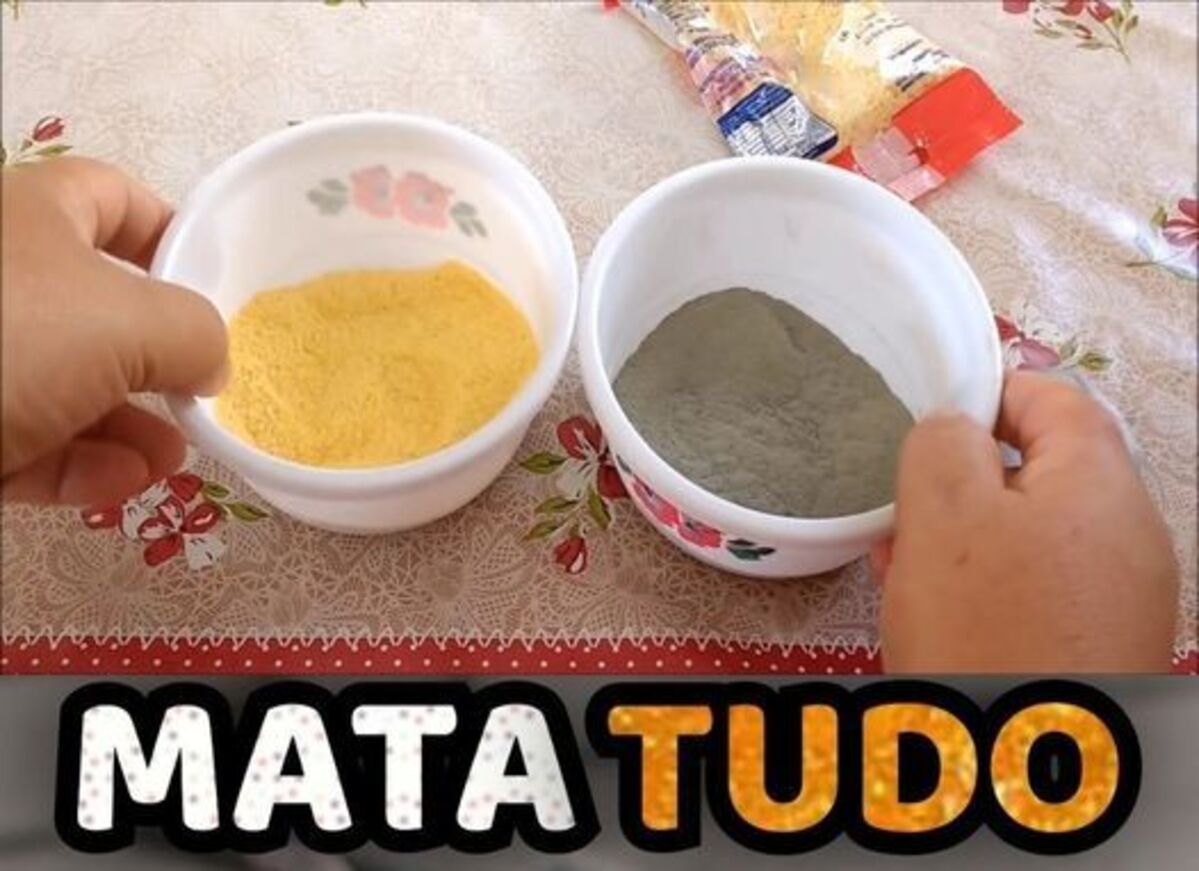 Como eliminar os ratos